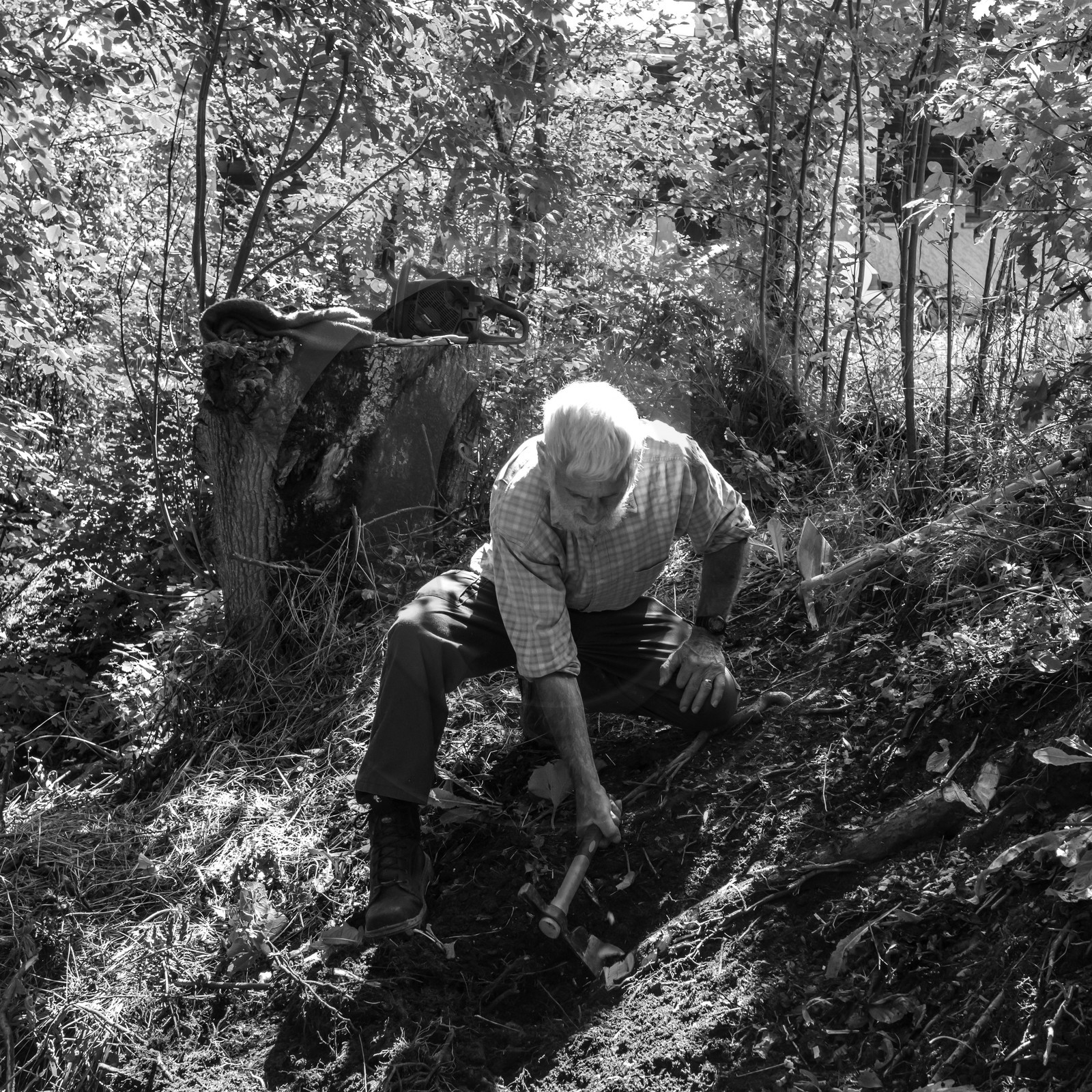 Activités au jardin