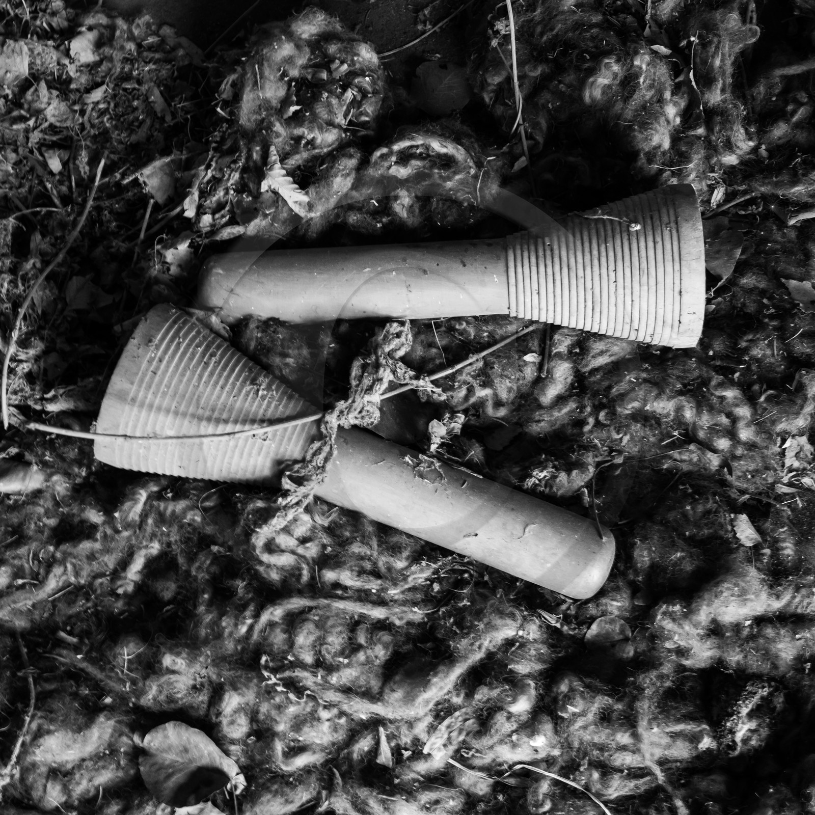 La Filature du Valgaudemar