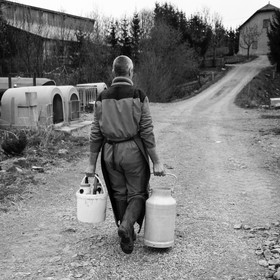 Les soins aux veaux