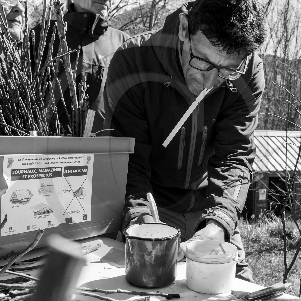 10 avril 2022 : Initiation à la greffe d'arbres fruitiers