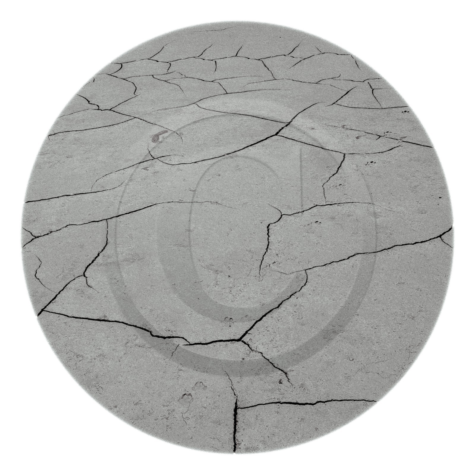 Les instants Camargue