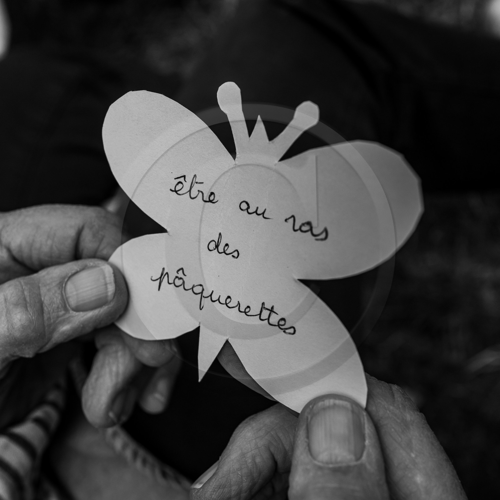 30 août 2023 : Lectures au jardin