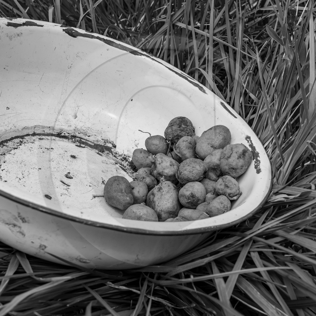 20 avril 2022 : des contes, des pommes de terre et un petit café