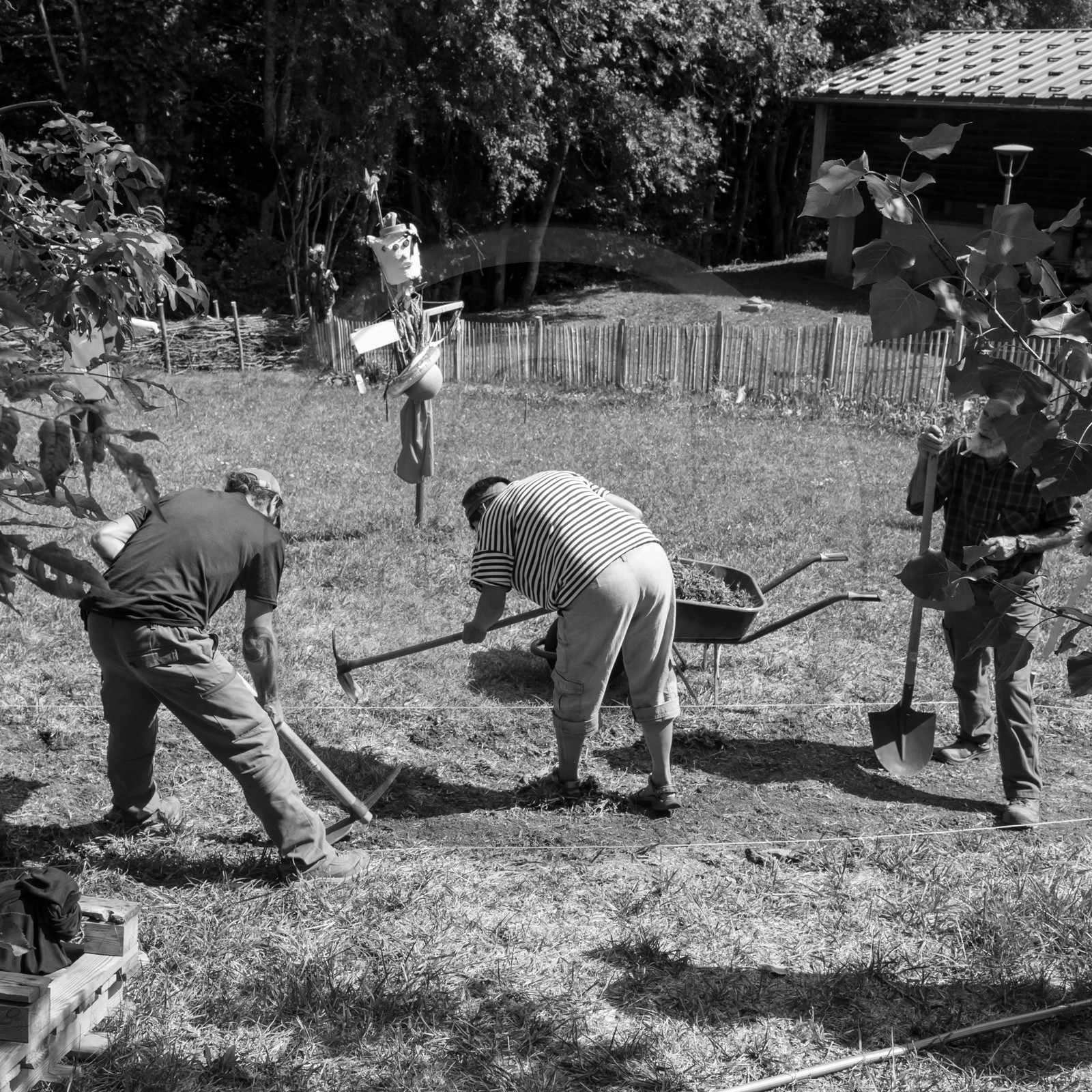 13 septembre 2017 - Chemins - Graines