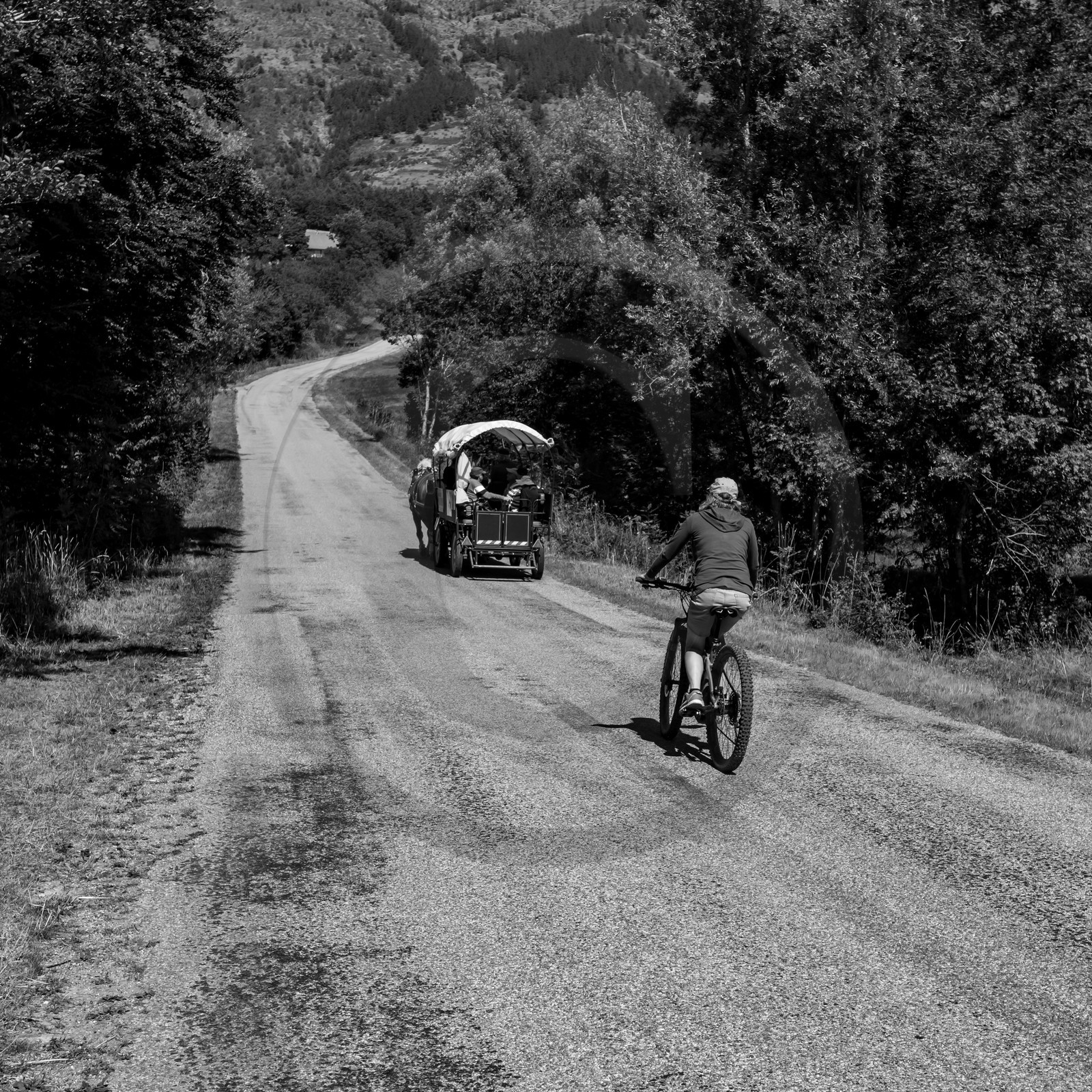 01 septembre 2021 : Promenade en cariole et contes