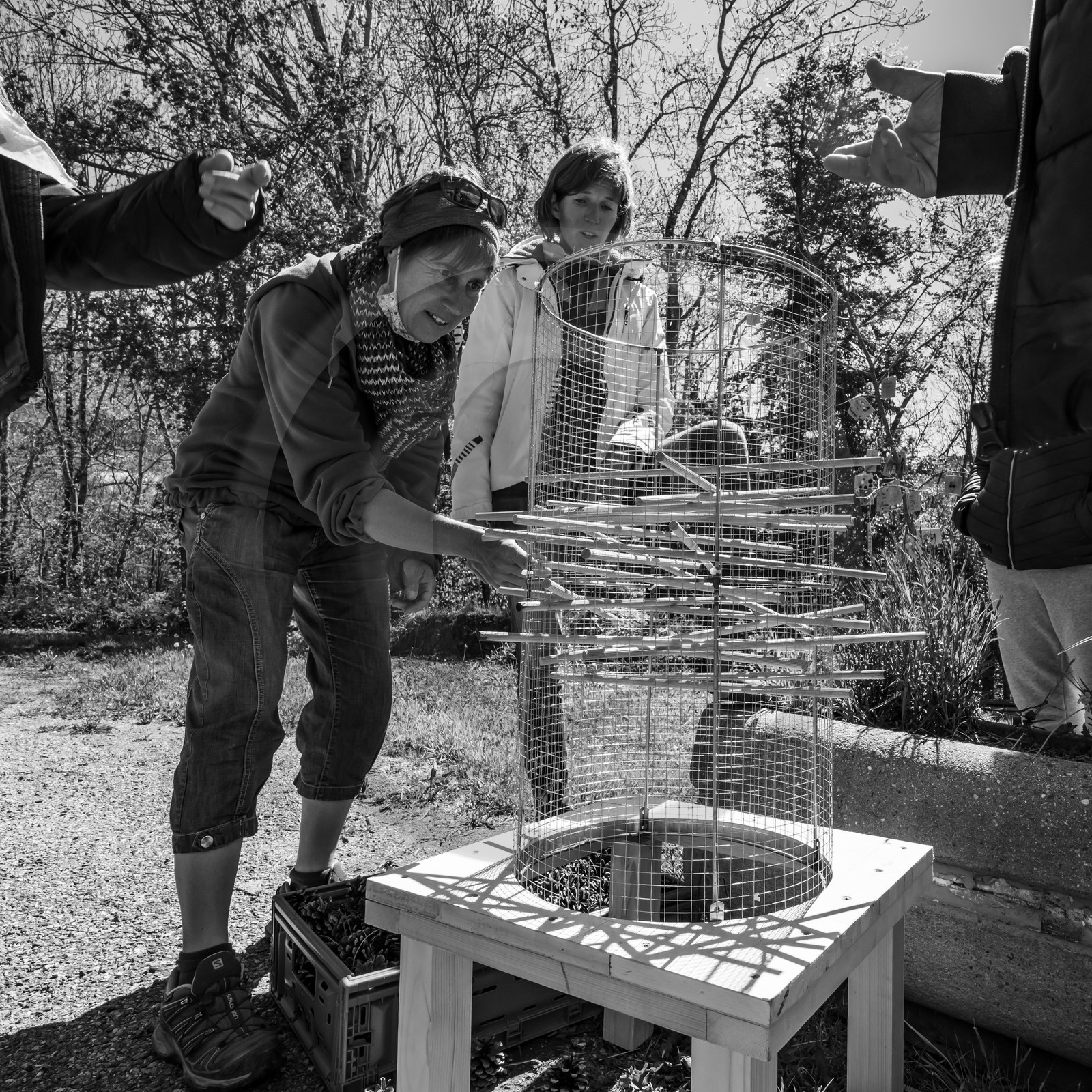 Des jeux avec le Lycée Sévigné