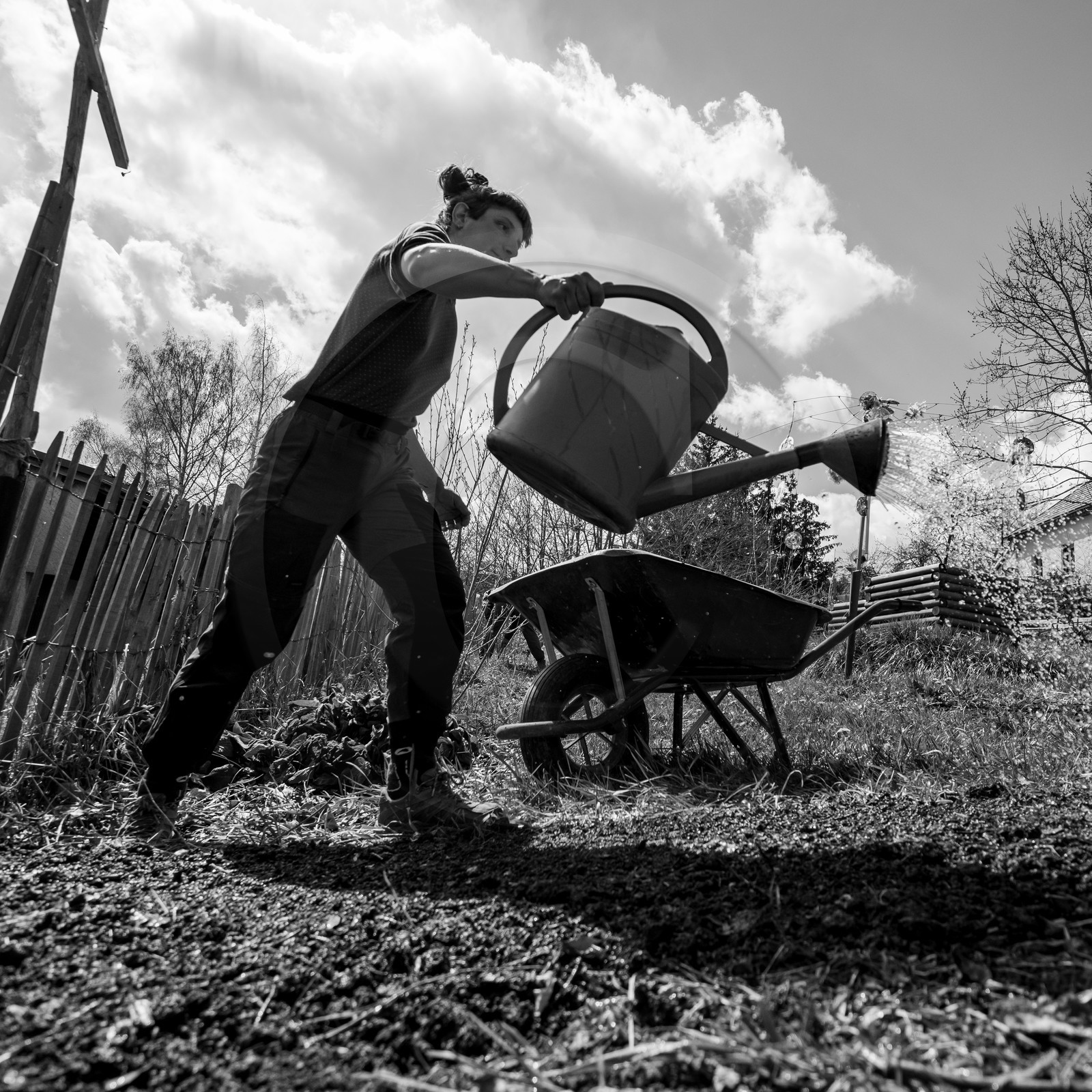 14 avril 2021 : collages, taille, jardinage