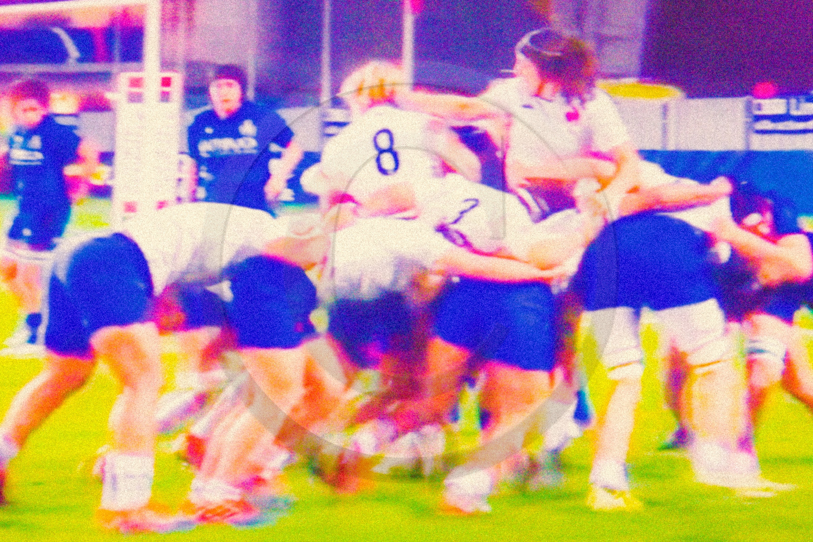 Rugby féminin