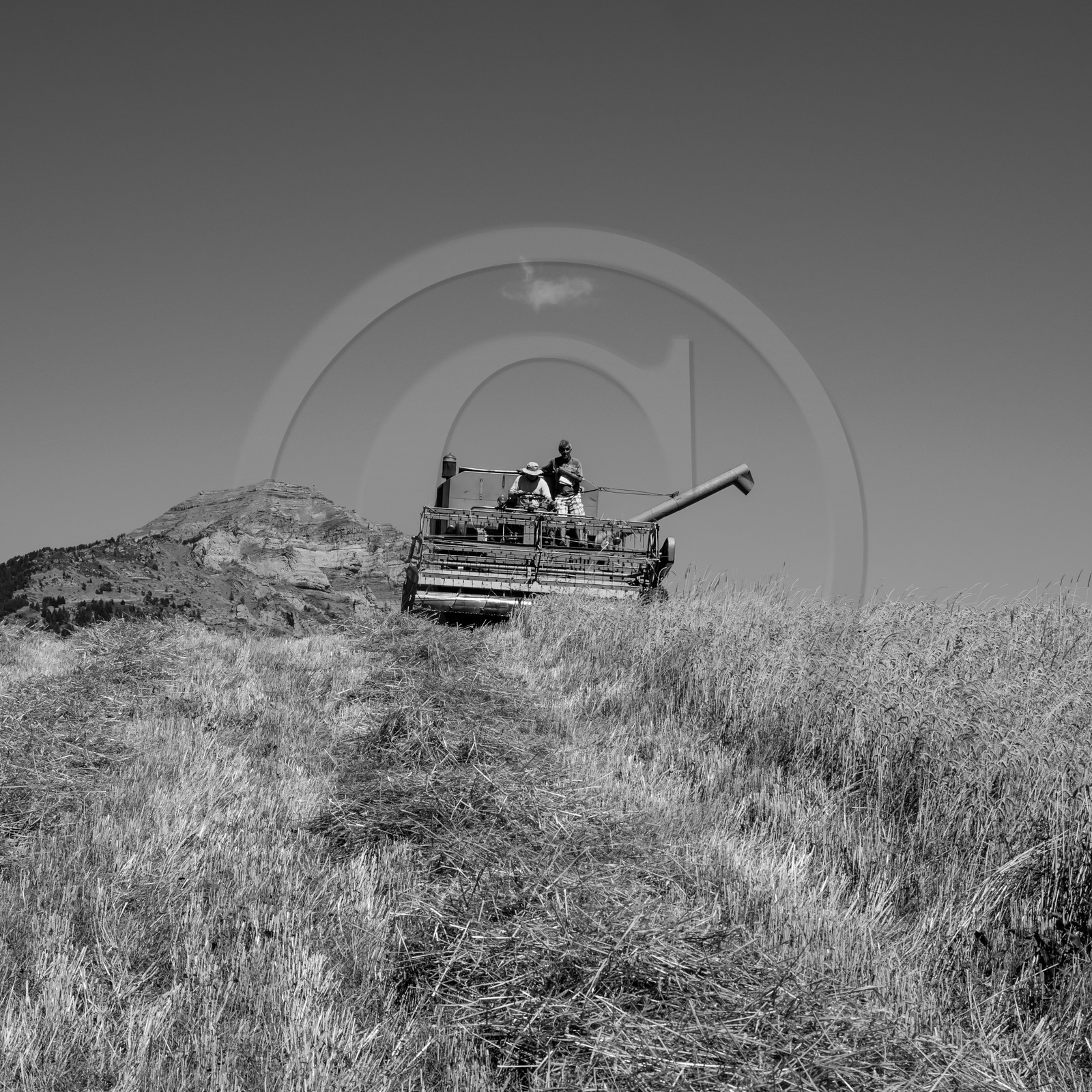 Les moissons dans le Champsaur