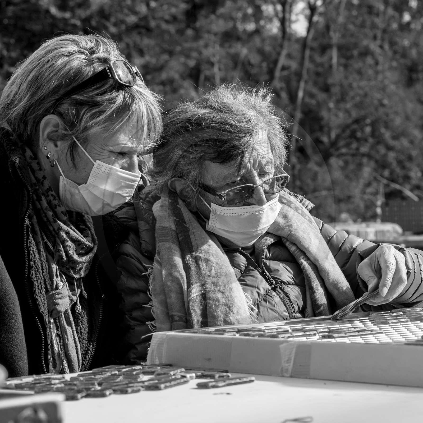 Semis, tournesols et jeux