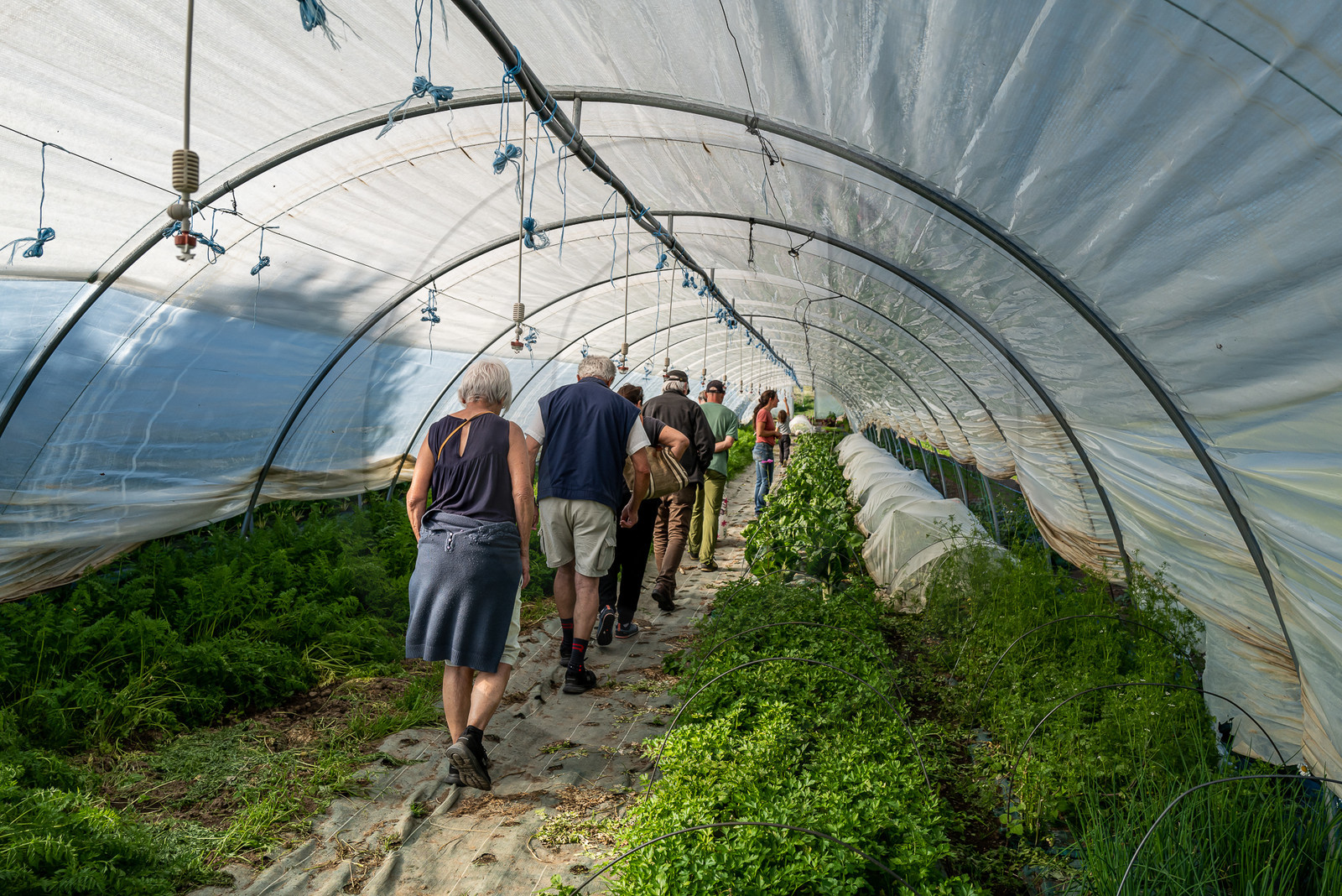 Légumontagne : maraichage biologique à Ancelle