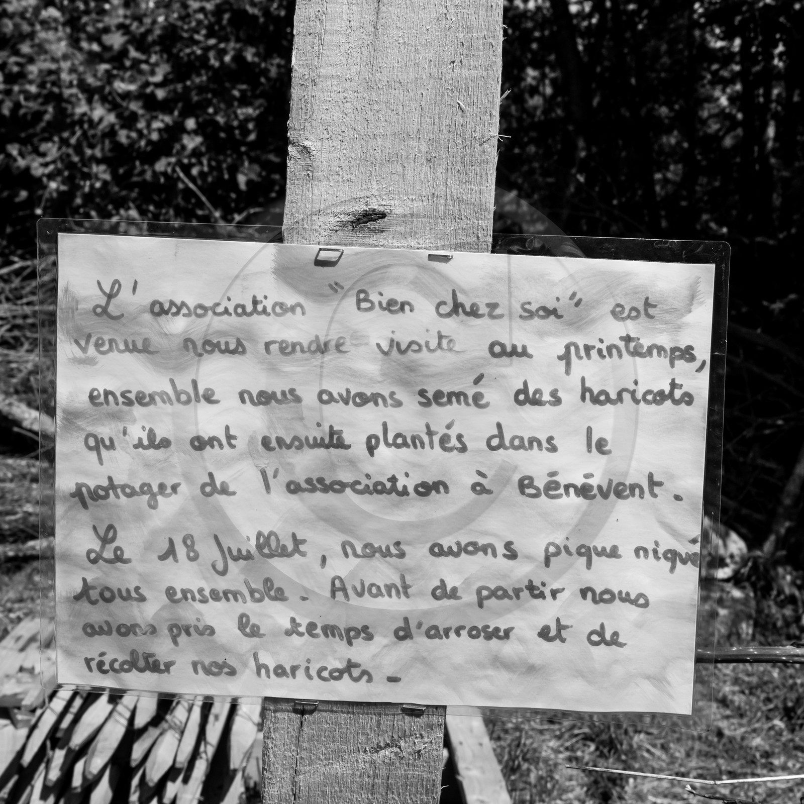 23 août 2017 - Animations