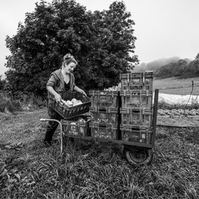 Maraichage biologique dans le Champsaur