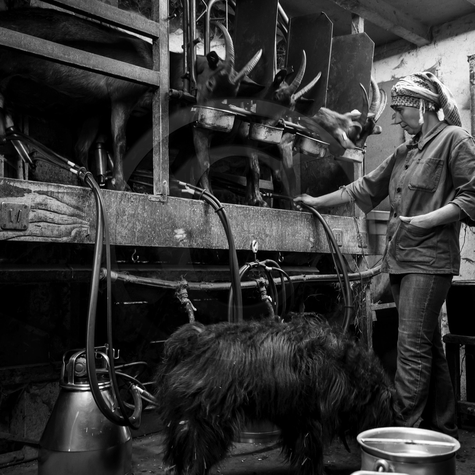 La ferme de Coste Joffre