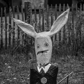 20 avril 2022 : des contes, des pommes de terre et un petit café