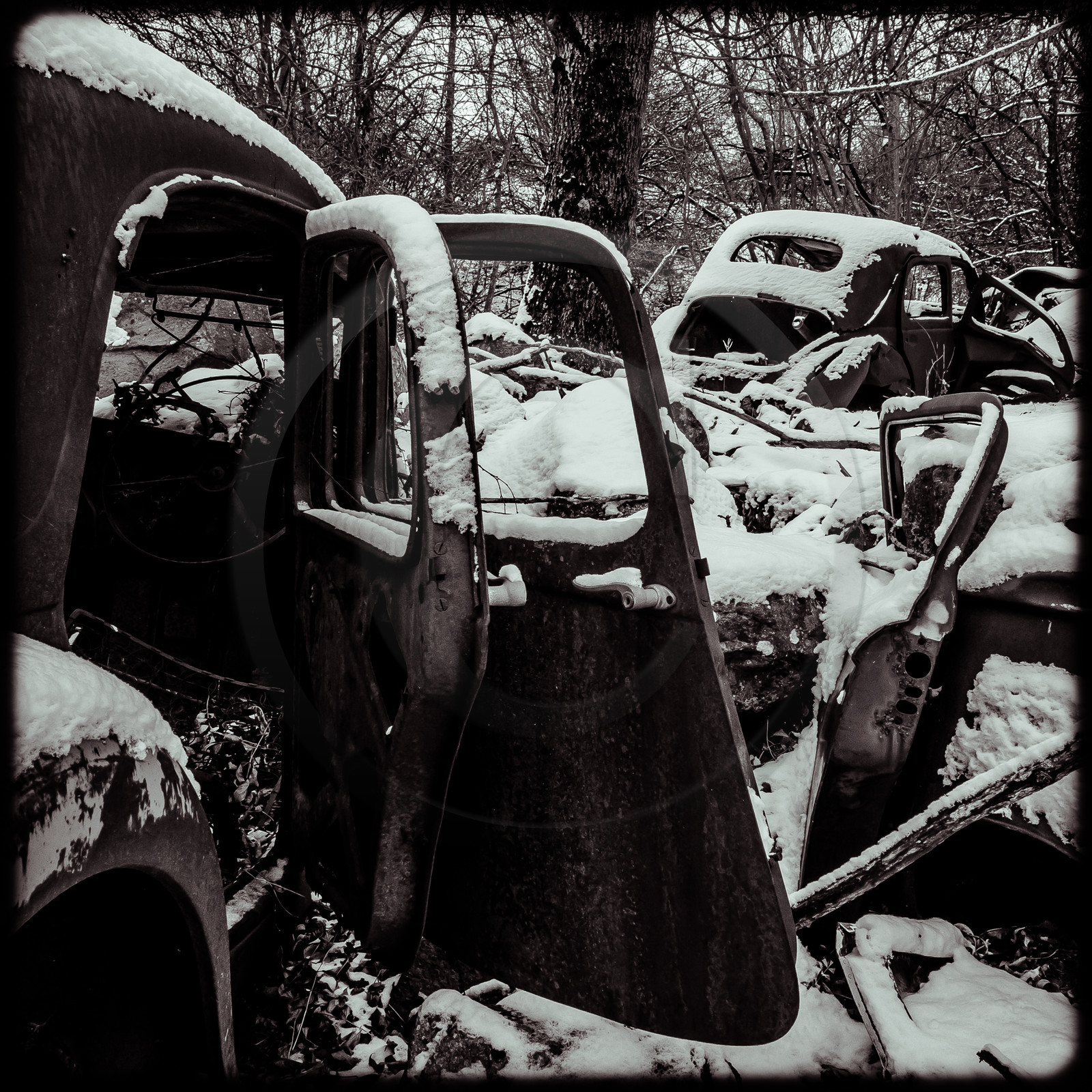 Un cimetière de voitures