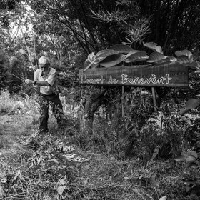 Promenades au jardin