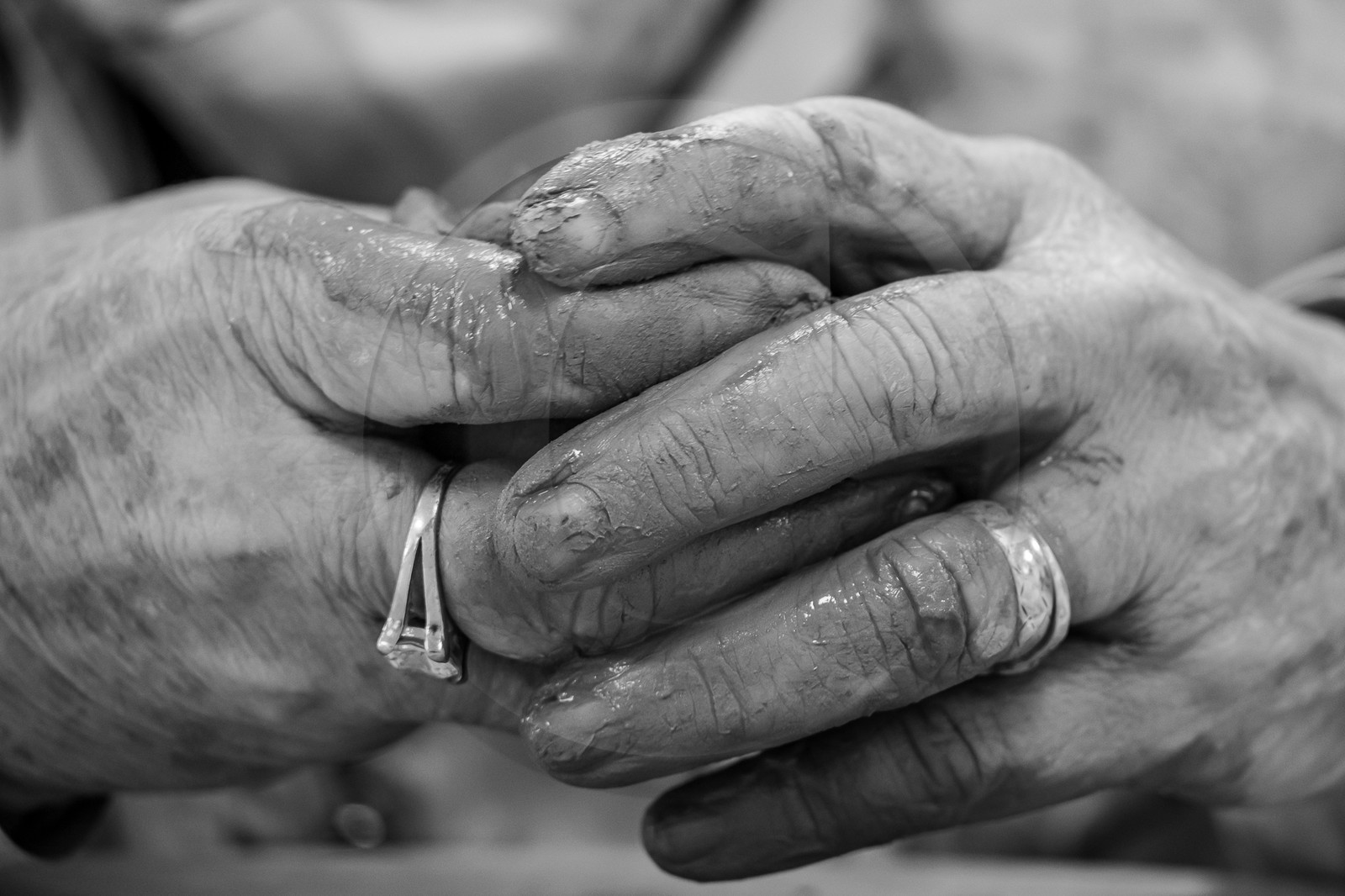 16 octobre 2023 : journée des aidants et des aidés