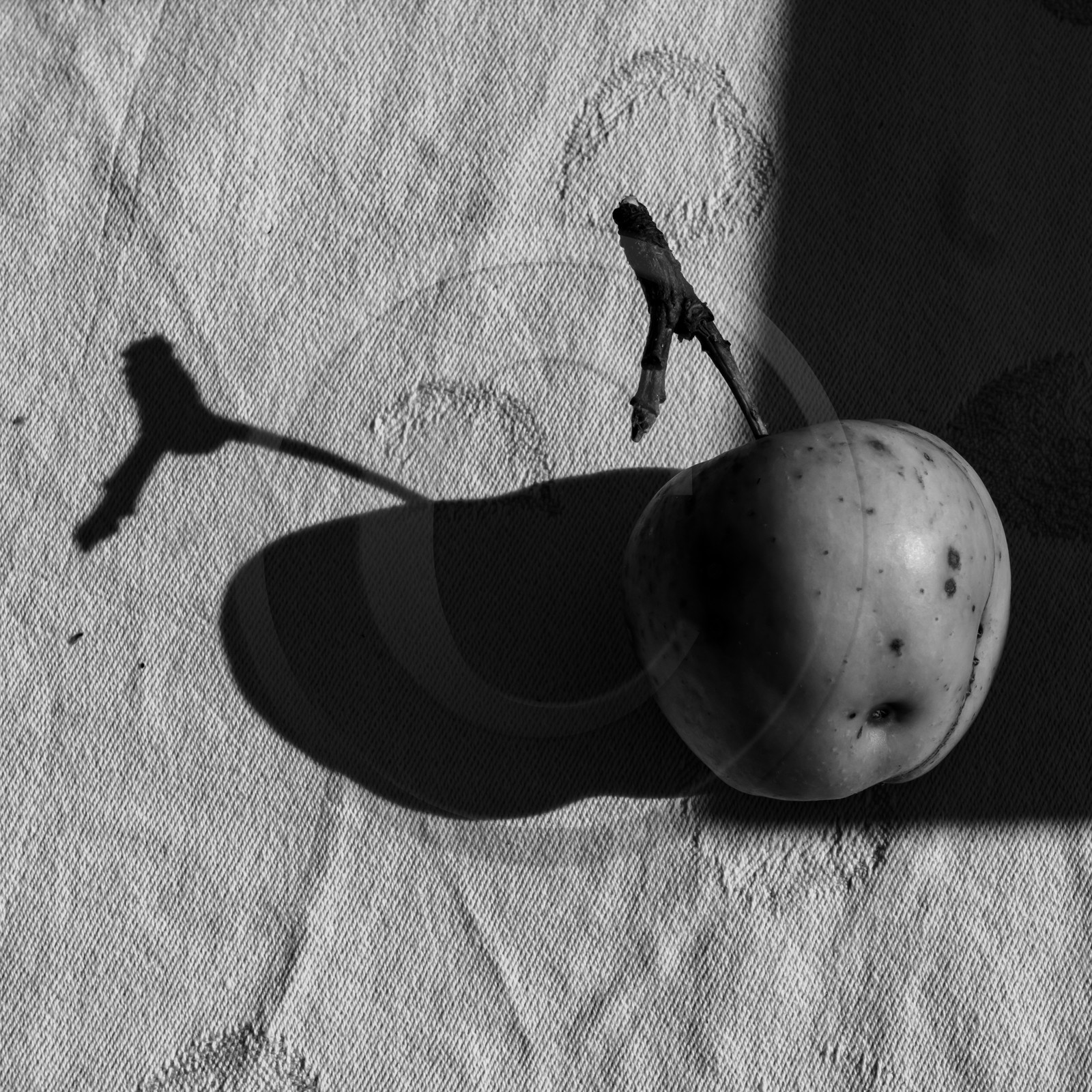 24 octobre 2021 : Fais ta soupe et ramène ta pomme