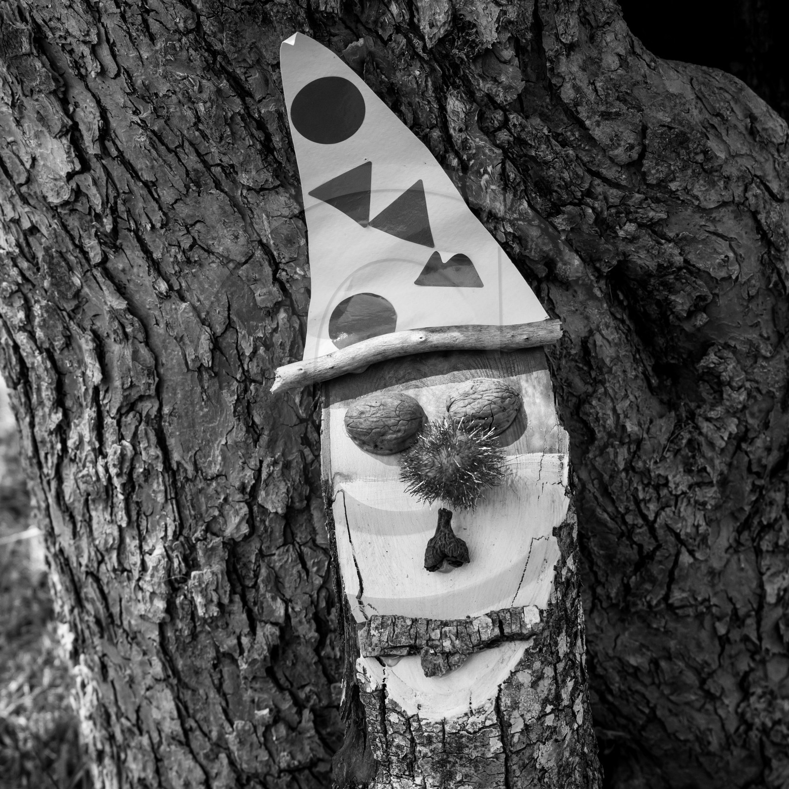 23 août 2017 - Animations