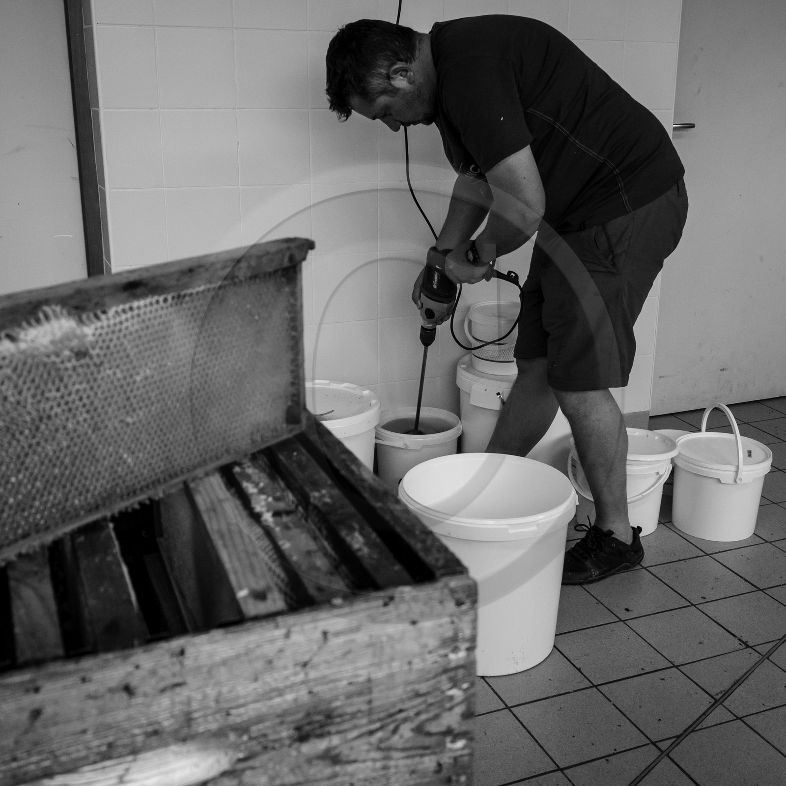 L'extraction du miel