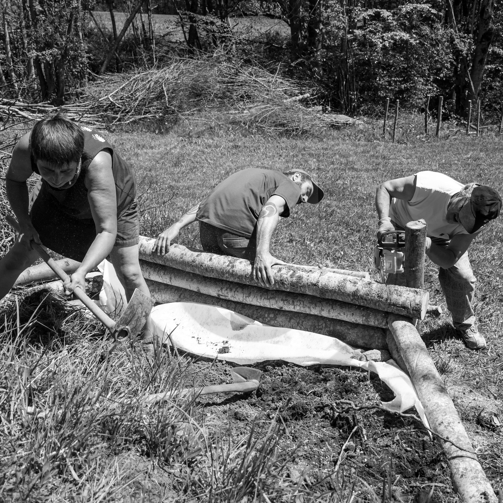 31 mai 2017 - Jardinage